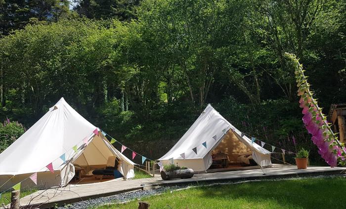 Foxglove Bell tents